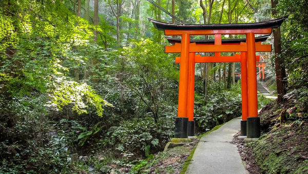 tmc teleragiology japan job offers